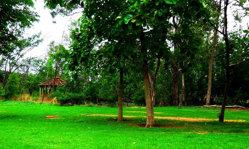 Botanic Garden of Indian Republic, Noida - History, Timings, Entry Fee,  Location - YoMetro