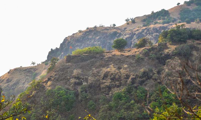 Mahipatgad Trek Mumbai Ticket Price Timings History Location YoMetro