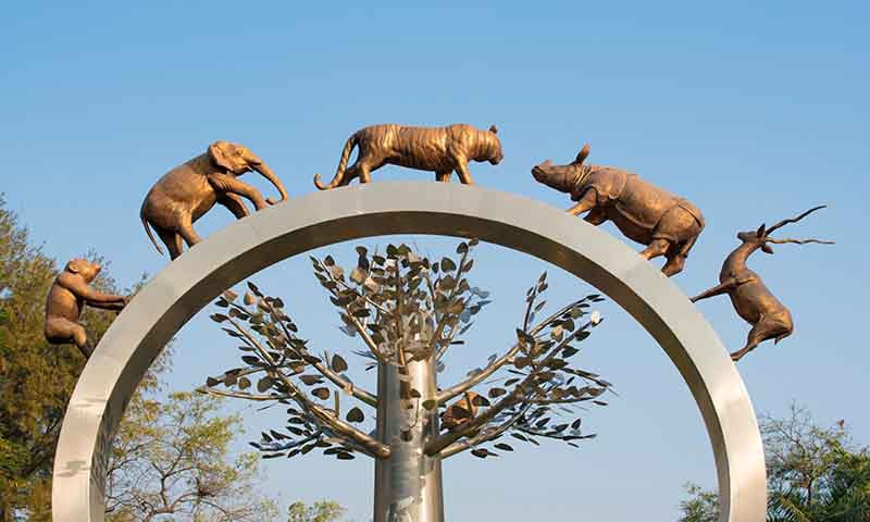Nehru Zoological Park, Hyderabad - History, Timings, Entry Fee, Location -  YoMetro