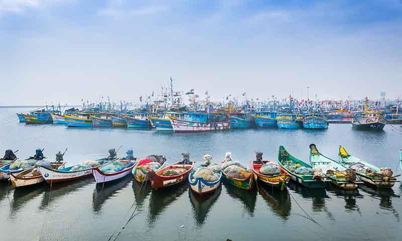 Royapuram Fishing Harbour, Chennai - History, Timings, Entry Fee, Location  - YoMetro
